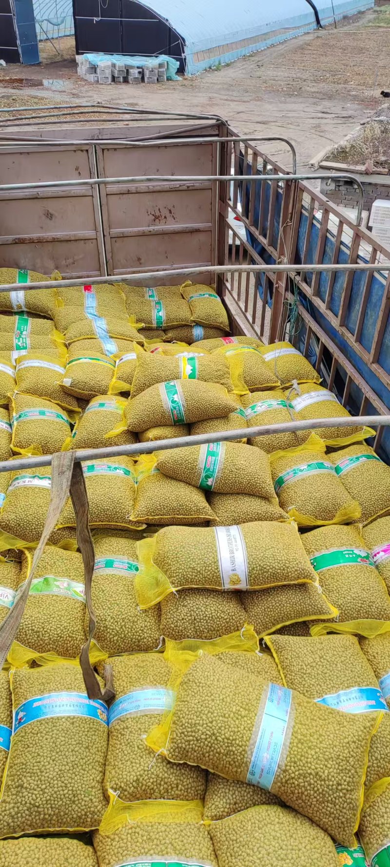 山药豆电商山药豆山东山药豆口感好品质保障价格实惠大量供货