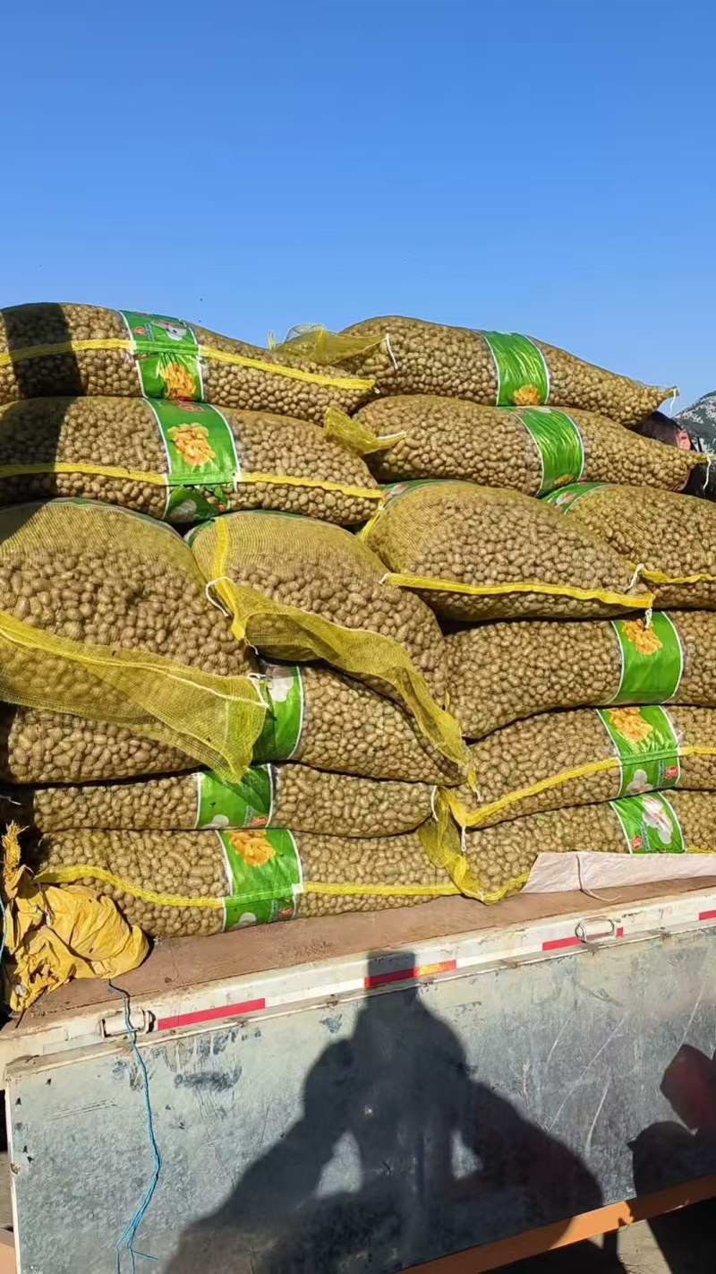 山药豆电商山药豆山东山药豆口感好品质保障价格实惠大量供货