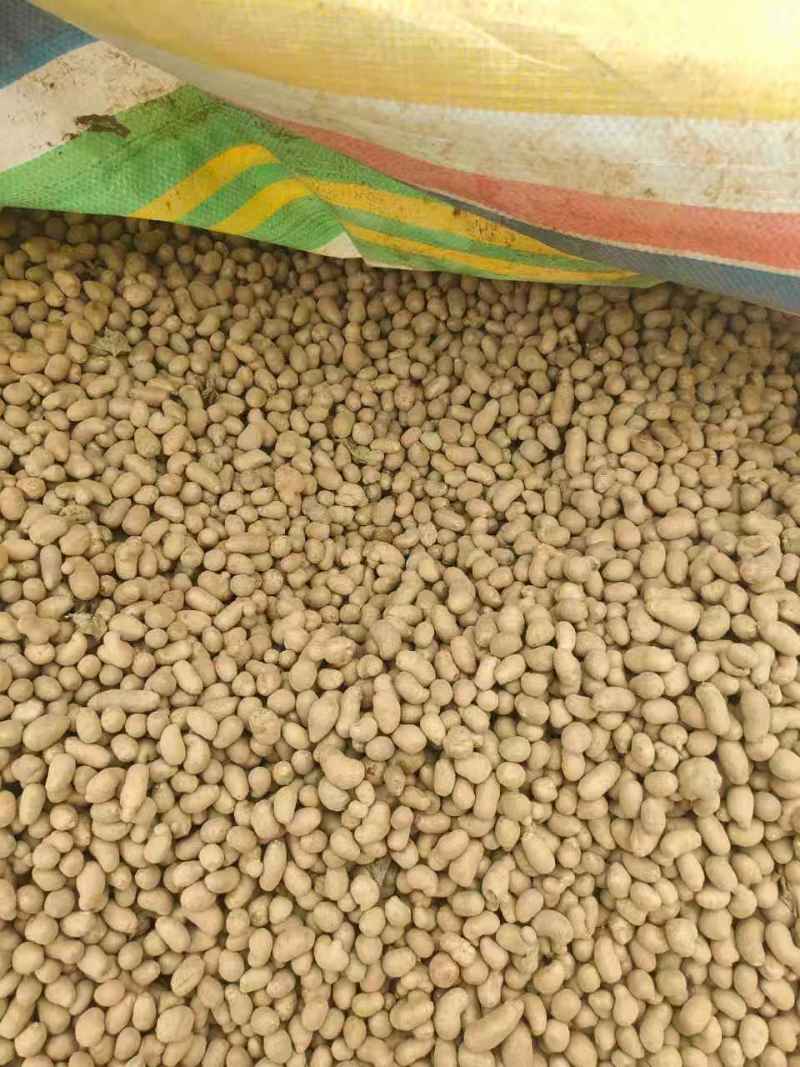 山药豆电商山药豆山东山药豆口感好品质保障价格实惠大量供货