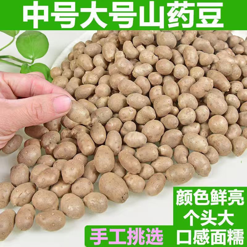 山药豆原产地规格齐白玉山药山东山药豆对接电商市场批发