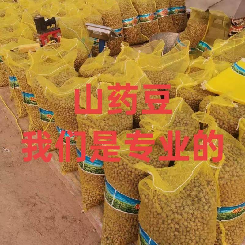 山药豆原产地规格齐白玉山药山东山药豆对接电商市场批发