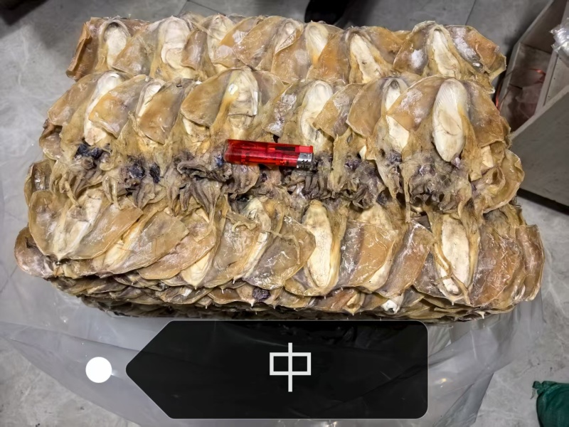 精品墨鱼干规格齐全可电联详谈质优价廉