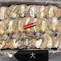 墨鱼干一手货源规格齐全质量保证欢迎点联