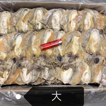 墨鱼干一手货源规格齐全质量保证欢迎点联