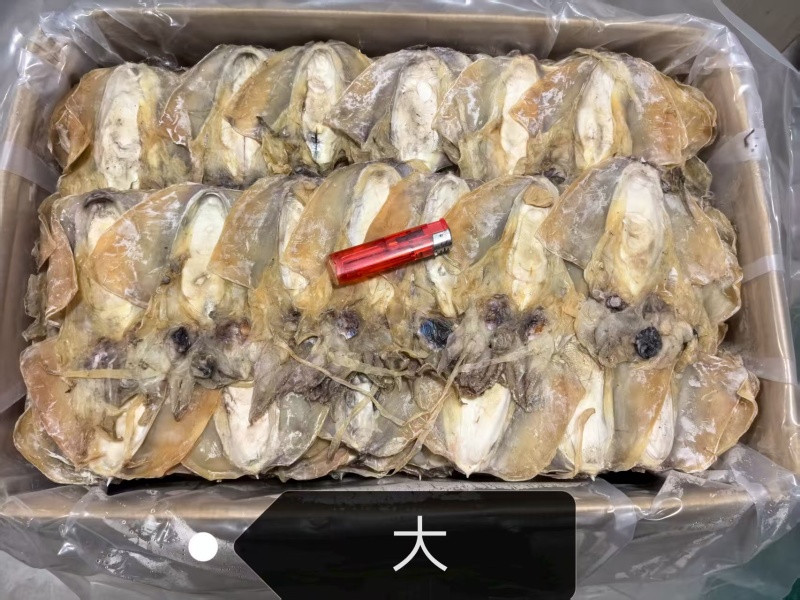 墨鱼干一手货源规格齐全质量保证欢迎点联