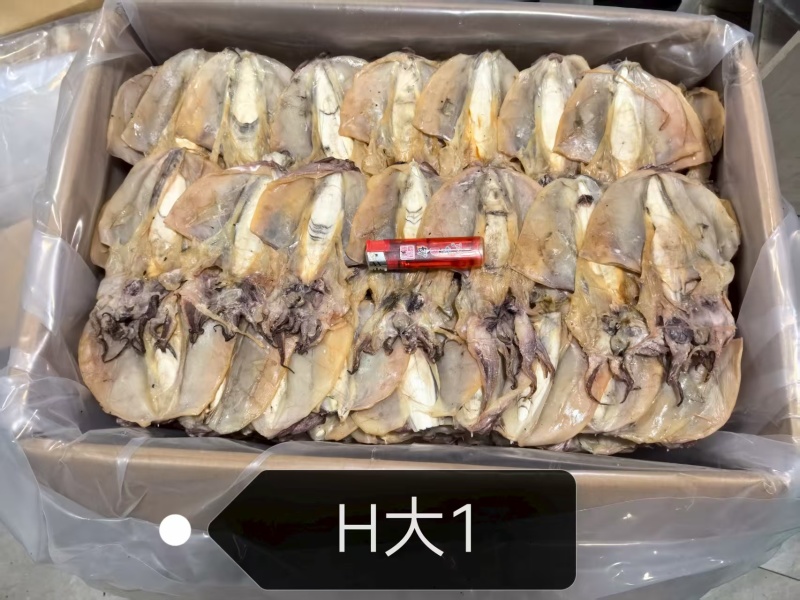 墨鱼干一手货源规格齐全质量保证欢迎点联