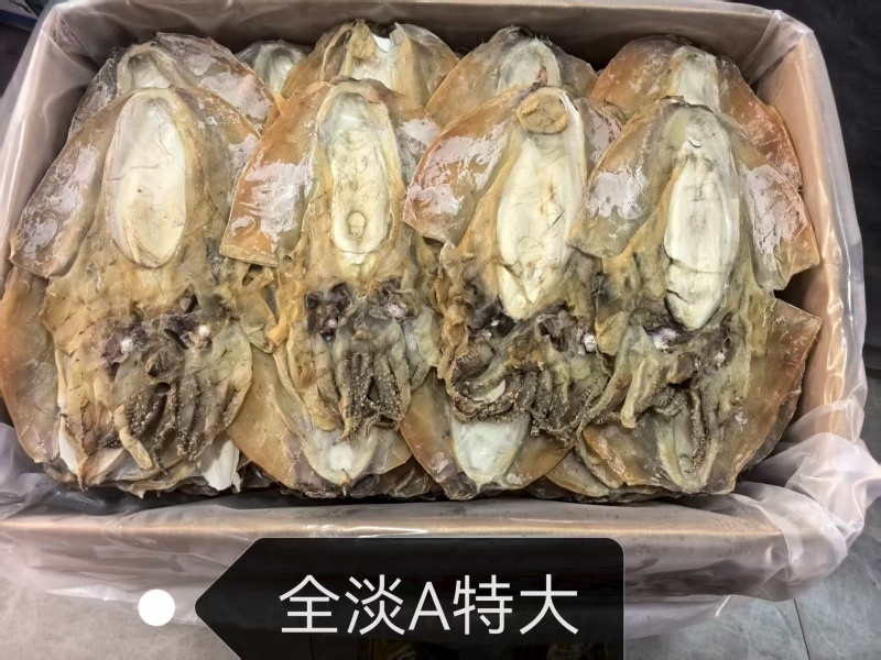 墨鱼干一手货源规格齐全质量保证欢迎点联