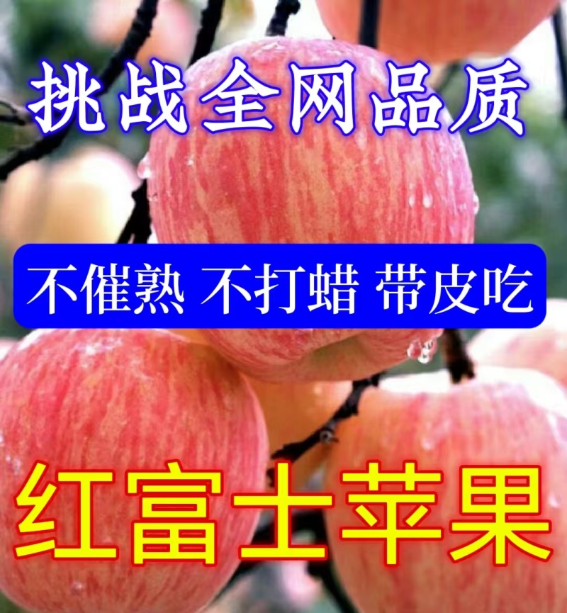 《精选好货》红富士苹果&山东苹果产地/常年有货/全国代发
