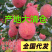 《红富士苹果》山东苹果/片红条纹纸加膜/常年供应全国
