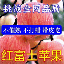 《精选好货》红富士苹果&山东苹果产地/常年有货/全国代发