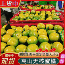 早熟无核蜜桔/特早蜜橘/云南蜜橘/小叶蜜桔/产地代发全国