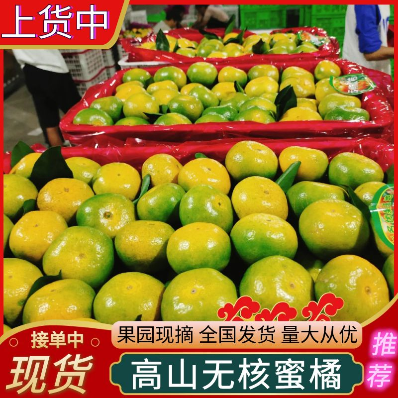 早熟无核蜜桔/特早蜜橘/云南蜜橘/小叶蜜桔/产地代发全国