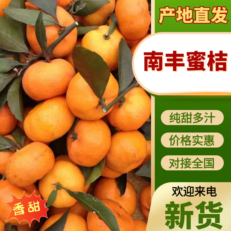 湖南常德澧县南丰蜜桔已大量上货味美价优可全国发货