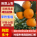 湖南澧县早熟无核蜜橘柑桔皮薄价格美丽品质保证货源足