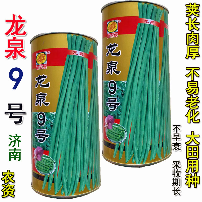 龙泉9号豆角种子高产小叶豇豆种子特长超嫩架豆王大棚大田