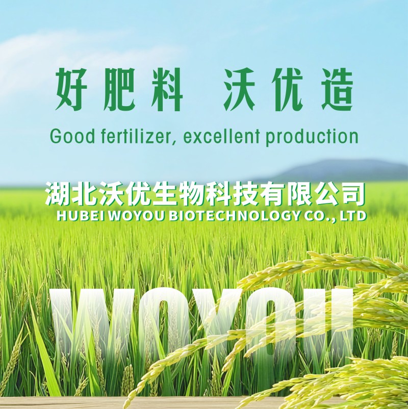 生物菌发酵专用有机肥果蔬专用肥有机肥改良土壤厂家