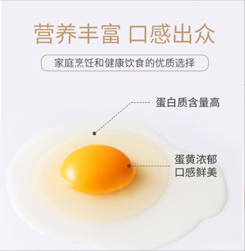 圣迪乐洁净蛋360枚腥味无菌无抗新鲜鸡蛋【政企食堂用蛋