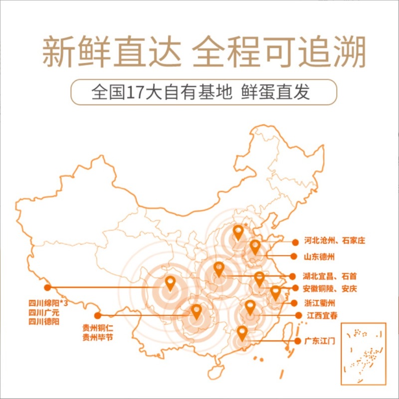圣迪乐洁净蛋360枚腥味无菌无抗新鲜鸡蛋【政企食堂用蛋