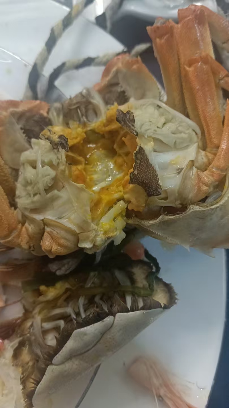 【肉质鲜嫩】江苏兴化大闸蟹/母蟹养殖基地直供欢迎咨询