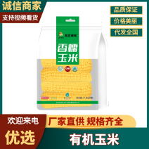 有机玉米敖汉旗产地甜糯玉米产地直销量大从优可视频看货