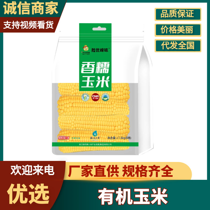 有机玉米敖汉旗产地甜糯玉米产地直销量大从优可视频看货