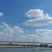 【养殖基地直供】江苏大闸蟹/公蟹蟹黄饱满欢迎来电洽谈