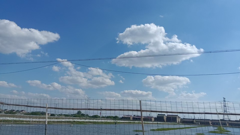 【养殖基地直供】江苏大闸蟹/公蟹蟹黄饱满欢迎来电洽谈