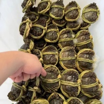 江苏精品大闸蟹塘口直供足斤足两品质保障可视频看货