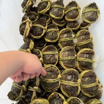 江苏精品大闸蟹塘口直供足斤足两品质保障可视频看货