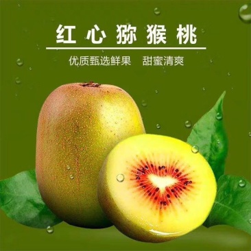 品质款四川蒲江红心猕猴桃非徐香奇异果纯甜5斤新鲜水果一