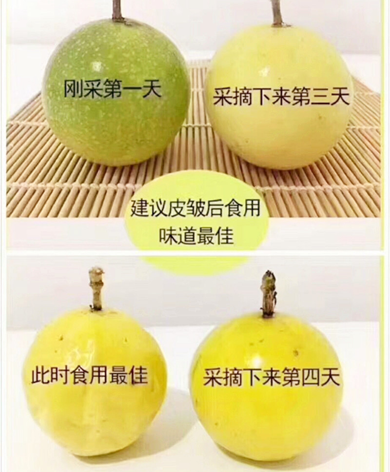 【福建钦蜜9号黄金百香果】自带蜂蜜5斤非紫香新鲜水果批发