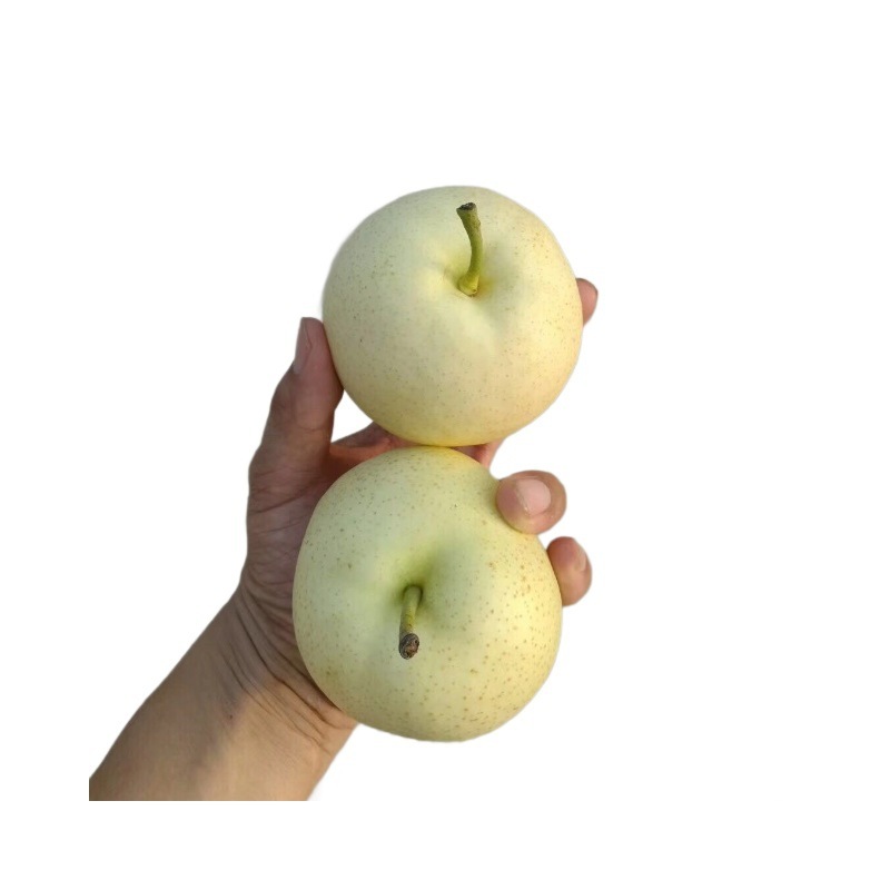 【京东可选蒙阴头茬苹果梨】现摘现发细腻甜蜜5斤新鲜水果