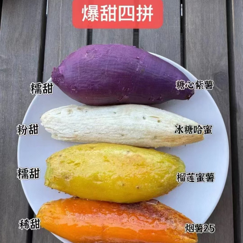 【蒙阴四色蜜薯组合】烟薯+紫薯+白蜜薯+榴莲蜜薯代餐粗粮