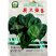 荷兰强势大叶菠菜种子耐寒高产叶片肥厚芽率高基地品种
