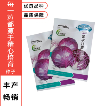 新品紫甘蓝菜种子紫卷心菜包心菜籽种红甘兰包菜甘蓝种子