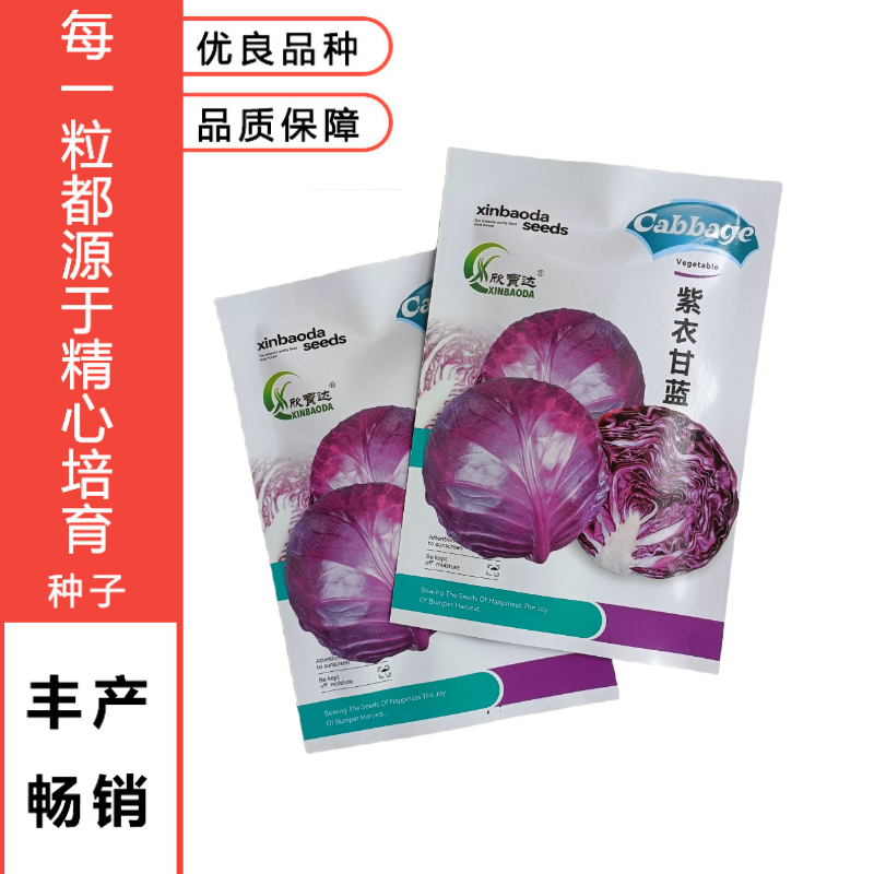 新品紫甘蓝菜种子紫卷心菜包心菜籽种红甘兰包菜甘蓝种子