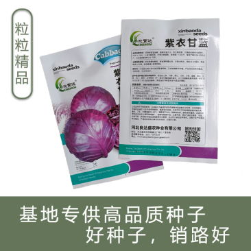 新品紫甘蓝菜种子包菜菜种秋紫卷心菜包心菜籽种紫甘蓝种子