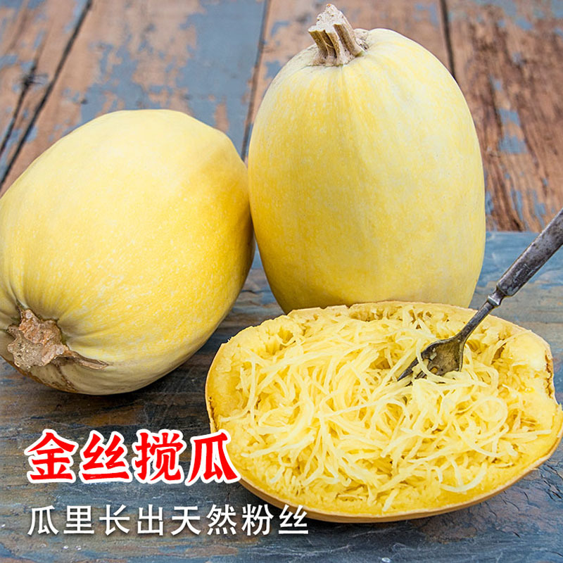 拍砸二号金丝瓜种子抗病早熟金丝搅瓜种子绞瓜种角瓜种子黄金