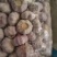 【精品】山东金乡大蒜货源充足品质保证物美价廉欢迎采购