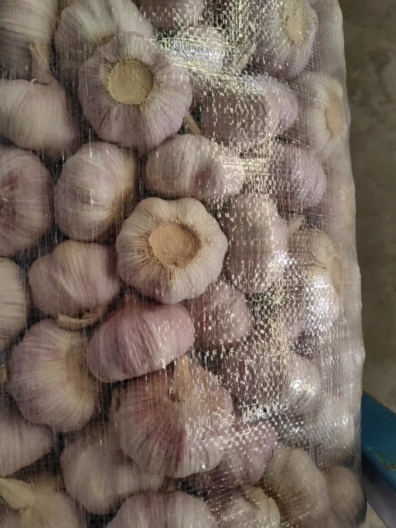 【精品】山东金乡大蒜货源充足品质保证物美价廉欢迎采购