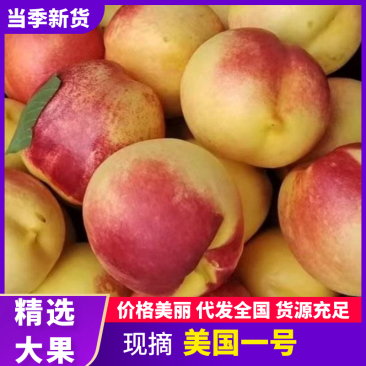 【精选】美国一号油桃产地直供新鲜采摘耐储存欢迎来电咨询