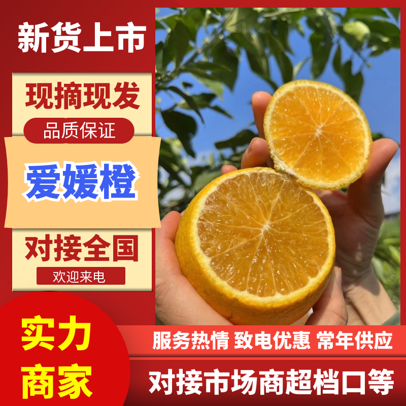 【实力供货】爱媛橙果冻橙皮薄多汁代发全国