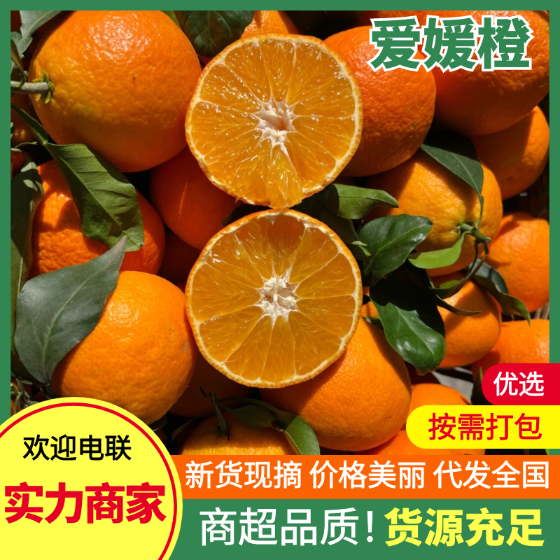 正宗爱媛橙爱媛橙基地直发供应全国市场电商商