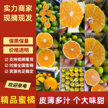 【基地直发】精品蜜橘万亩基地持续供应供应全国市场电商