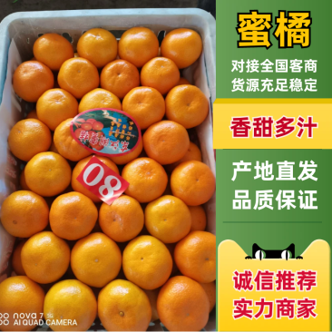 【实力供货】特早蜜橘湖北精品蜜橘基地直发放心购买