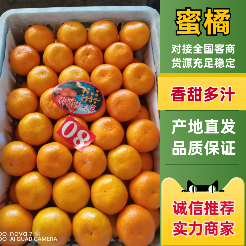 【实力供货】特早蜜橘湖北精品蜜橘基地直发放心购买