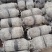 平菇菌棒熟料栽培产量高基地看货技术免费服务指导