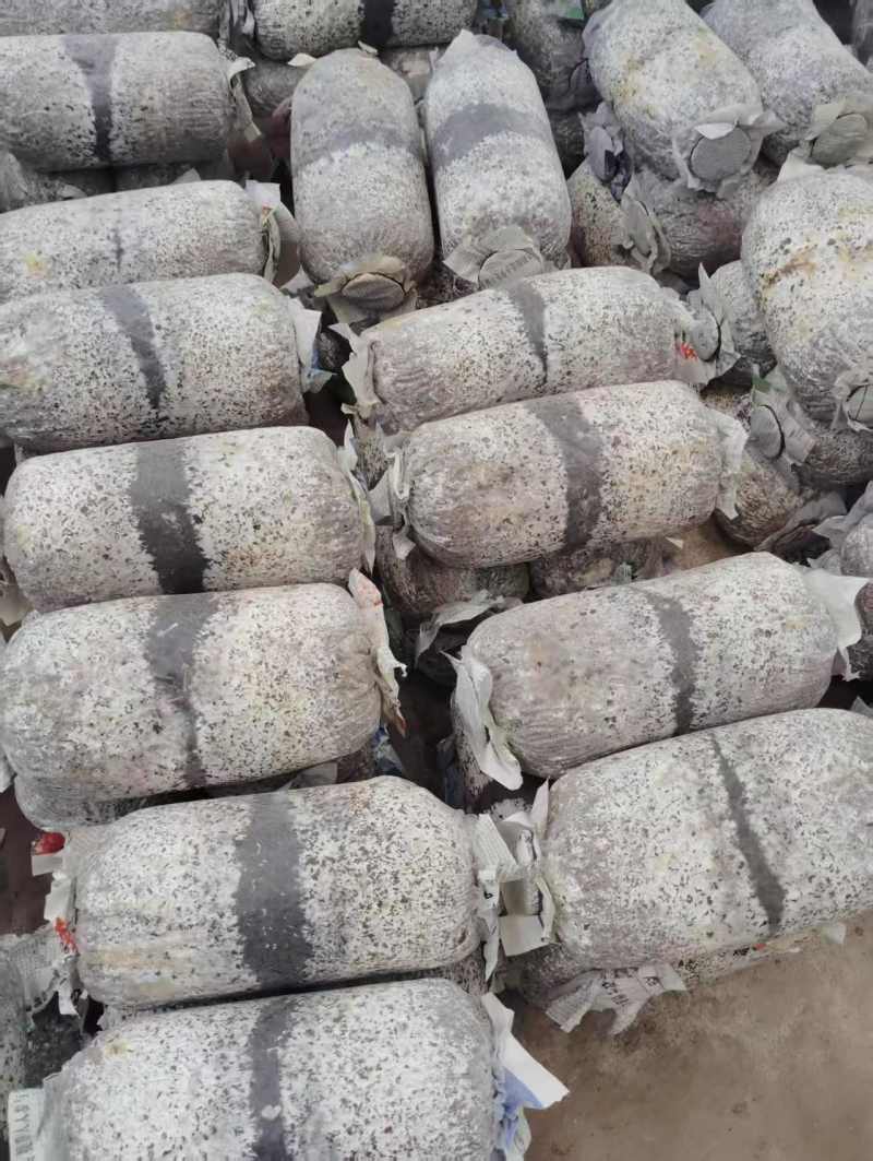 平菇菌棒熟料栽培产量高基地看货技术免费服务指导