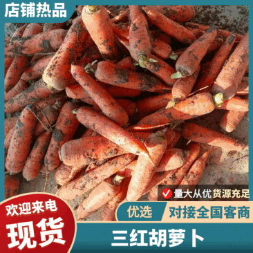 三红胡萝卜次货带土水洗带樱子不带的都有可以现场加工打包满意