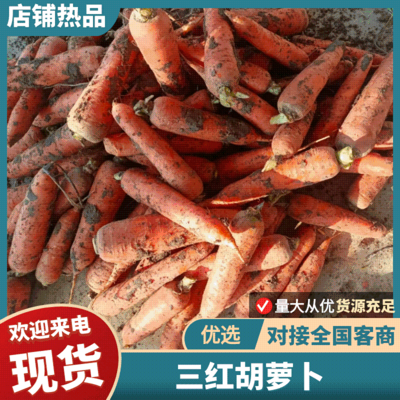 三红胡萝卜次货带土水洗带樱子不带的都有可以现场加工打包满意